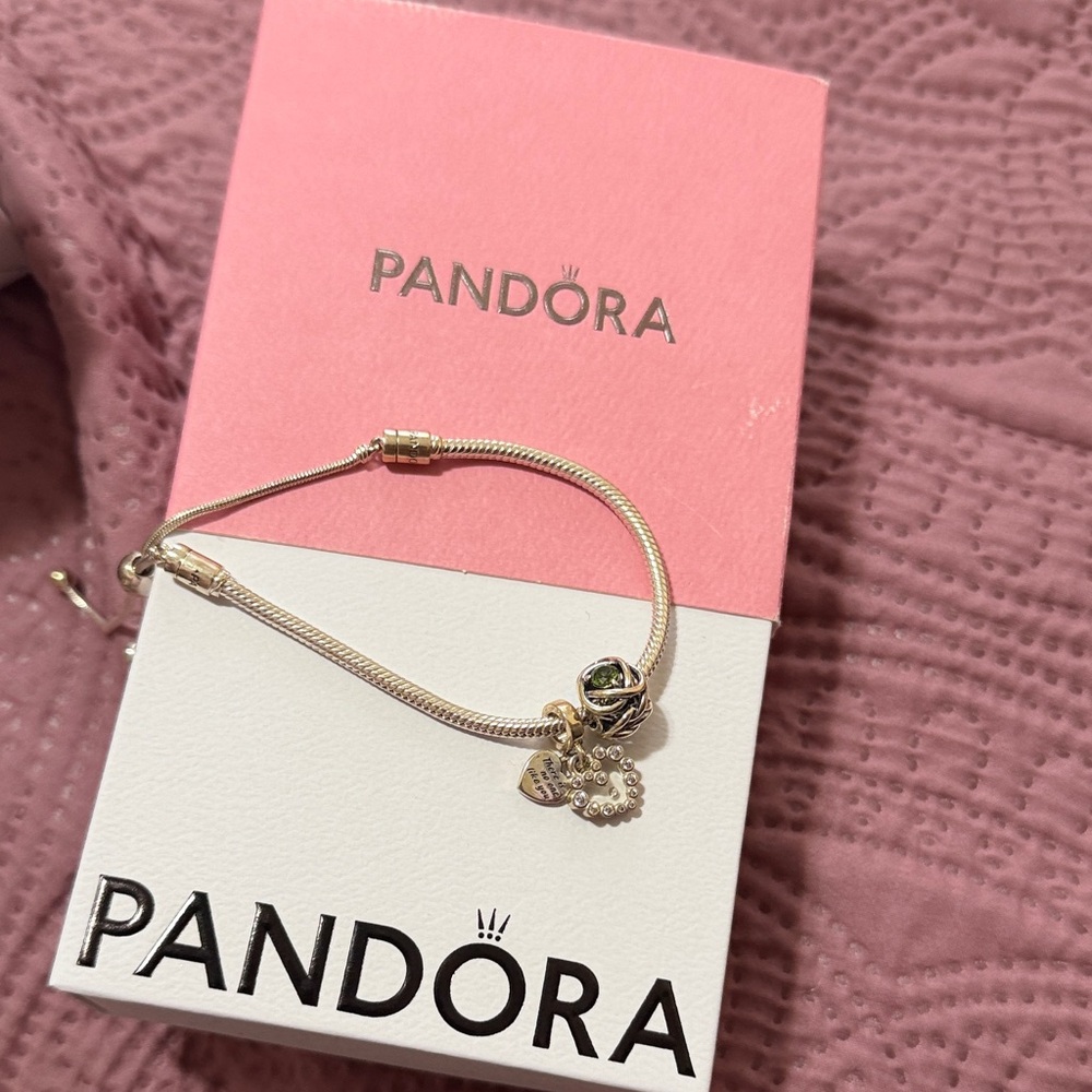 NEW Pandora Silver Bracelet with 3 Charms ($300 originally)